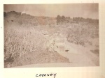 110-2.jpg